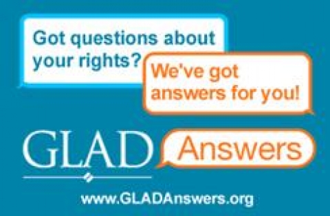Gay And Lesbian Advocates And Defenders 119